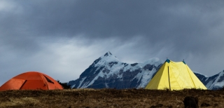 Camping In India That Takes You On A Soul Detoxification Tour While Getting Close To The Treasure Trove Of Nature